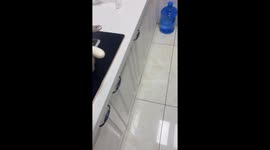 Boy gets finger bitten by clam after second attempt