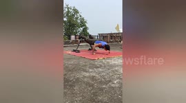 Indian man enters Guinness World Records with most decline push ups