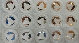 China: 2025 Panda Gold Commemorative Coin