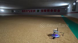 China: Smart devices assist with grain storage, processing across China