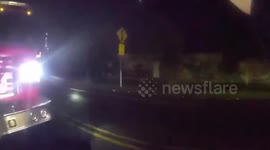 Runaway horses caught running through strip mall in Washington
