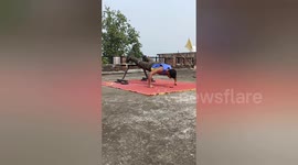 Fitness fanatic sets record for most knuckle push-ups in one minute