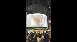 3D Tiger in Taiwan