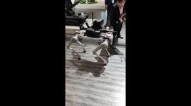 Military robot dog can keep its balance even when pushed