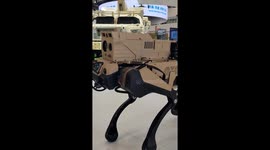 China reveals its army of military robot wolves