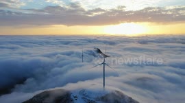 Experts praise China's role in Africa's green energy transition