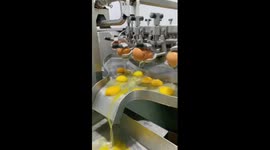 Efficient egg processing at factory in China