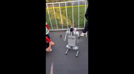 Robot dog gets excited like real pooch while playing with balloon