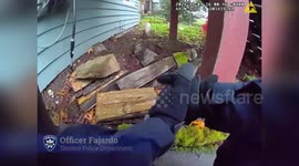 US: Tacoma Police Capture “Notorious P.I.G.” After Wild Chase Through Neighborhood