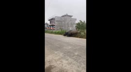 Wild rhino chases locals through the street in Nepal