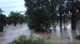 Honduras: Widespread damage from tropical sara in Honduras