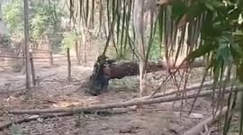 Abducted American vlogger still alive, police believe