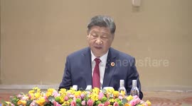 Brazil: Xi calls on China, Britain to adopt rational, objective perspective on each other's development