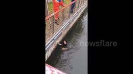 Drunk man falls in river and is pulled out by firefighters in China