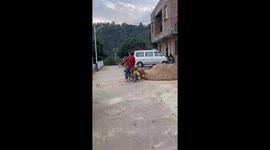 Pet dog hops onto motorcycle to go for a ride