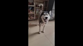 Slipper When Sneezing