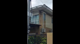 Wild monkey climbs wall of home to look for way inside