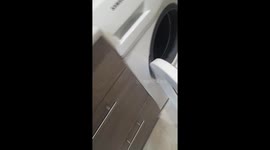 Cat runs like hamster in washing machine