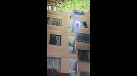 Cat saved after falling from building in Shanghai, China