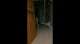 Halloween scare ends with person hitting wall in Devon