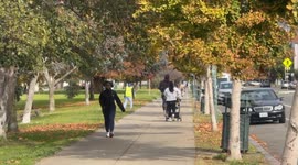 Oakland Cool Fall Day