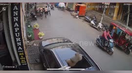 Monkey falls off building and shatters car's sunroof before casually strolling off