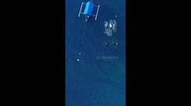 Travel bucket list! Ride see-through kayaks with whale sharks swimming below