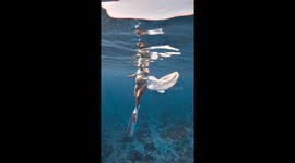 Pregnant freediver looks simply beautiful