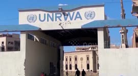 Gaza Strip: About 17,500 children killed in Gaza crisis