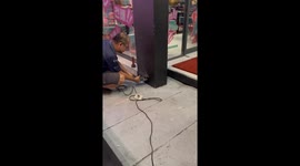 Kitten stuck in pole for two days rescued by cafe owner