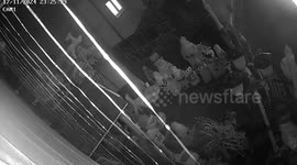 Footage shows a brazen thief stealing a 20ft santa from family's charity display