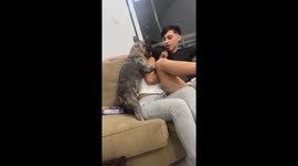 Dog's hilarious mating behavior captured in video in Venezuela