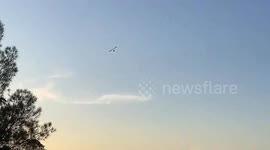 Argentina: Argentina: Police seized a flying boat that was performing dangerous maneuvers on the river