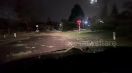 US: Strong Winds Batter Seattle, Roads Blocked, Power Flickers