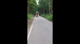 Herd of elephants chase away labourers taking selfies and trample one to death