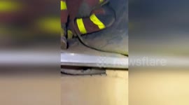 Firemen rescue dog trapped in 100ft long drainage tunnel in Spain