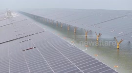 China: China's first million-kilowatt level offshore PV farm connected to grid