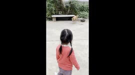 Dog Jumps on a Little Girl’s Command