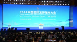 Foreign guests experience vitality of urban development in China's