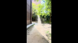 Dust devil tornado appears outside apartment block
