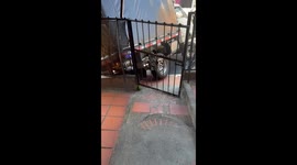 Mini truck crashes into fence twice in Medellin, Colombia