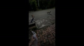 Unexpected dogs fight for food in Jilin, China
