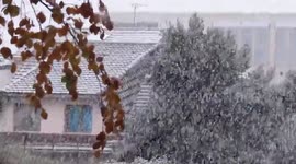France: Paris Sees First Snowfall Of The Season 8