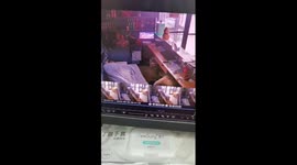 Wild bear enters roadside stall for midnight snack in Tibet