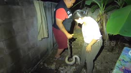 Housewife, 42, bitten by python on the head as she tends to her chickens