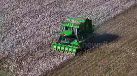 Modern tech propels high crop yields in China's Xinjiang