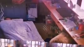 Sleeping shop worker startled awake by bear inches from his face
