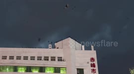 Thousands of crows circle above hospital in Inner Mongolia