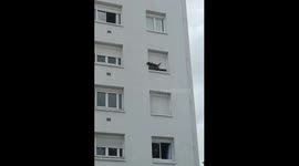 Dog rescued from window in Pau, France