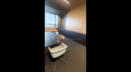 Dog circles boardroom in Santa Monica, USA